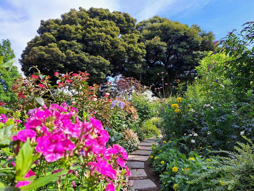 エリィさんの港の見える丘公園への投稿