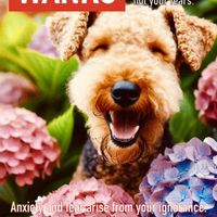 ラベンダー,紫陽花 アジサイ あじさい,花が好き,ありがとう♡,GSに感謝。の画像