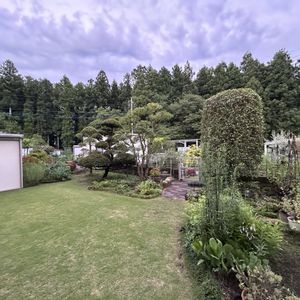 芝生,花のある暮らし,緑のある暮らし,植物のある暮らし,芝生の庭の画像