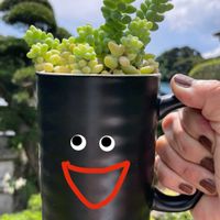 ビアホップ ,多肉植物,多肉植物寄せ植え,お花は癒し,花が好き❤の画像