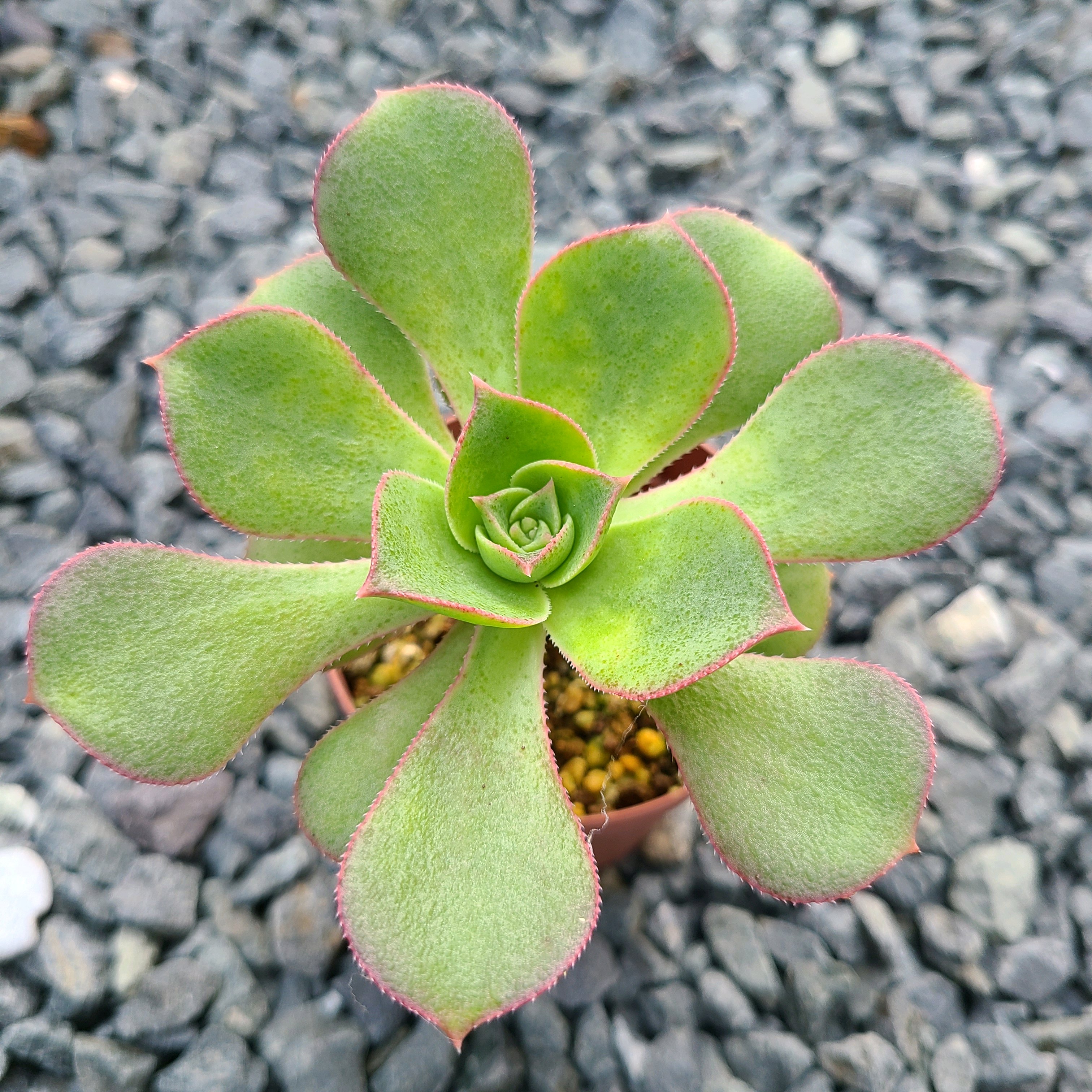 1721125535934_402760_p_2024071