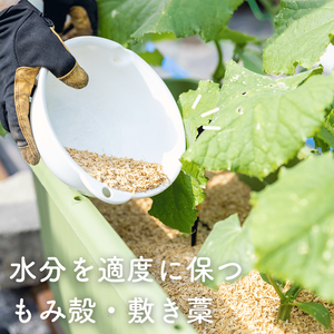 植物のある暮らし,肥料,プランター栽培,ベランダ菜園,自然のある暮らしの画像