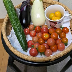 今日の収穫野菜,プランター野菜,富山支部,家庭菜園の画像