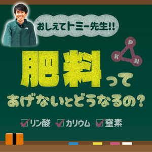 肥料,YouTube,花と生きるサントリー,サンフラマニア,サンフラビトの画像