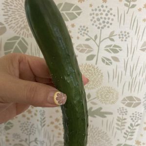 コレオプシス,コバノランタナ,きゅうり,プランター野菜,プランター栽培の画像