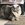 ゲン