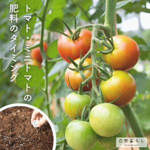 植物のある暮らし,肥料,プランター栽培,露地栽培,自然のある暮らしの画像