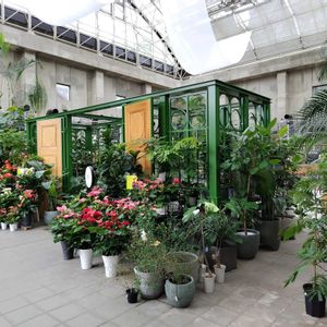 公園,観葉植物,温室,庭園,花のある暮らしの画像