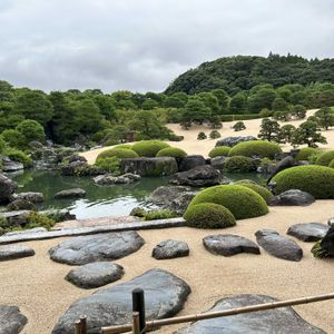 日本庭園,足立美術館 庭園,庭の画像