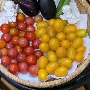 今日の収穫野菜,プランター野菜,うれしい♡,富山支部,家庭菜園の画像