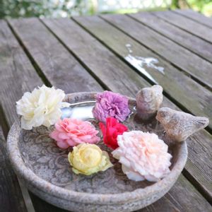 バラ,バラ 鉢植え,薔薇♪,薔薇♡,バラを楽しむの画像