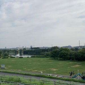 芝生,川土手の画像