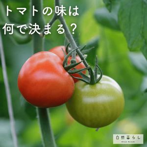 植物のある暮らし,肥料,自然のある暮らし,おうち園芸,おうちde菜園の画像