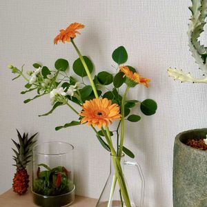 切り花,緑のある暮らし,季節のお花,グリーンを楽しむの画像