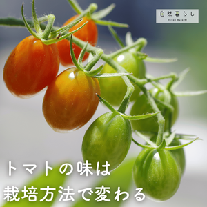 植物のある暮らし,肥料,プランター栽培,ベランダ菜園,露地栽培の画像