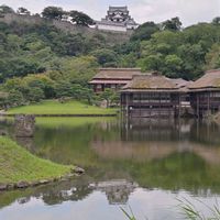 マツ,モミジ,彦根城,玄宮園,みどりのまとめNo.69の画像