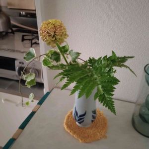 切り花,シダ植物,一輪挿し,可愛い,花瓶の画像