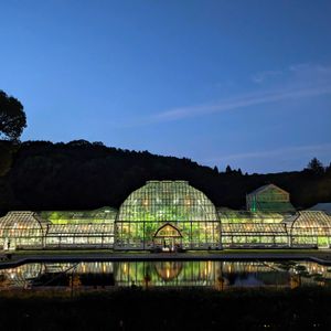 東山動植物園,植物園,温室,ナイトガーデンの画像