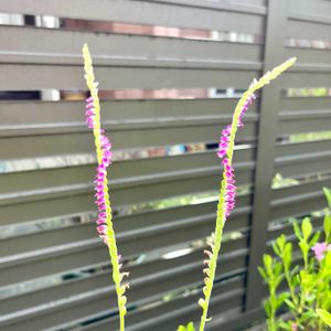 うちの花ちゃん♡,ほっこり〜♡,車庫の画像