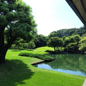 庭園,東京,青空,花のある暮らし,緑のある暮らしの画像