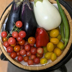 今日の収穫野菜,プランター野菜,富山支部,家庭菜園の画像