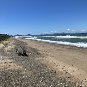 流木,流木アレンジ,伊良湖海岸の画像