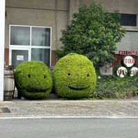 植栽の画像