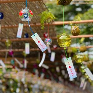 苔玉,風鈴,境内,ぶらっと寄り道,夏詣の花手水の画像