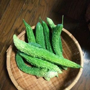 ゴーヤ,夏野菜,今日も笑顔で♡,いつもありがとう❤️,穏やかな毎日の画像