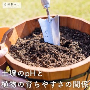 植物のある暮らし,肥料,自然のある暮らし,土壌改良,おうち園芸の画像