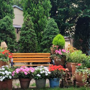 ハーブ園,暑さに負けるな,GSでの出会いに感謝♥,いつもありがとう❤️,お出かけ先の画像