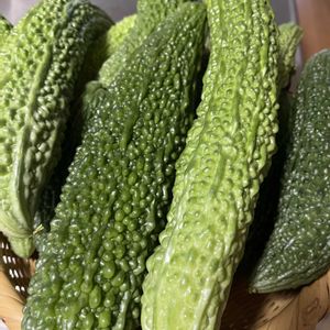 ゴーヤ,地植え,美味しい,夏野菜,綺麗な色の画像