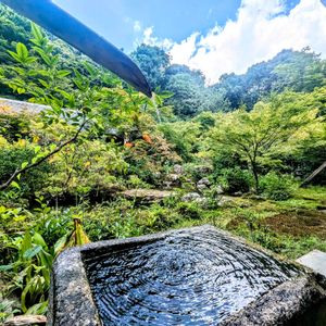 京都,庭園,そら,山のある風景,木のある風景の画像