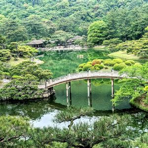 マツ,モミジ,もみじ,庭園,水鏡の画像