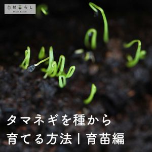 植物のある暮らし,肥料,プランター栽培,ベランダ菜園,自然のある暮らしの画像