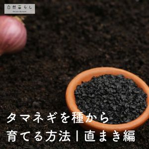 植物のある暮らし,肥料,プランター栽培,ベランダ菜園,露地栽培の画像