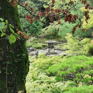 日本庭園,旧古河庭園,お出かけ先の画像