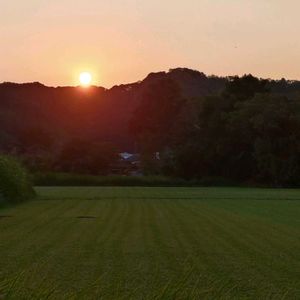 芝生,お気に入りの場所,夕焼け空,お疲れ様です♡,帰宅途中の画像