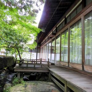 日本庭園,綺麗なミドリ,ぶらっと寄り道,旧正法院家住宅(吉城園)☻,綺麗な葉✨の画像