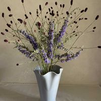 ワレモコウ,スモークグラス,パニカム,西洋ニンジンボク,吾亦紅の画像