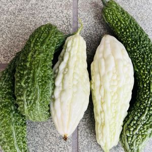 ゴーヤ,夏野菜,家庭菜園の画像