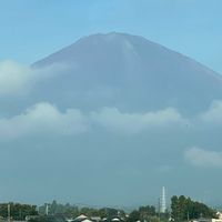 柿の木,東名高速道路、足柄ブリッジ,御殿場コシヒカリの稲刈り,稲刈り前の朝露落とし,一条刈り機で周りを稲刈りの画像