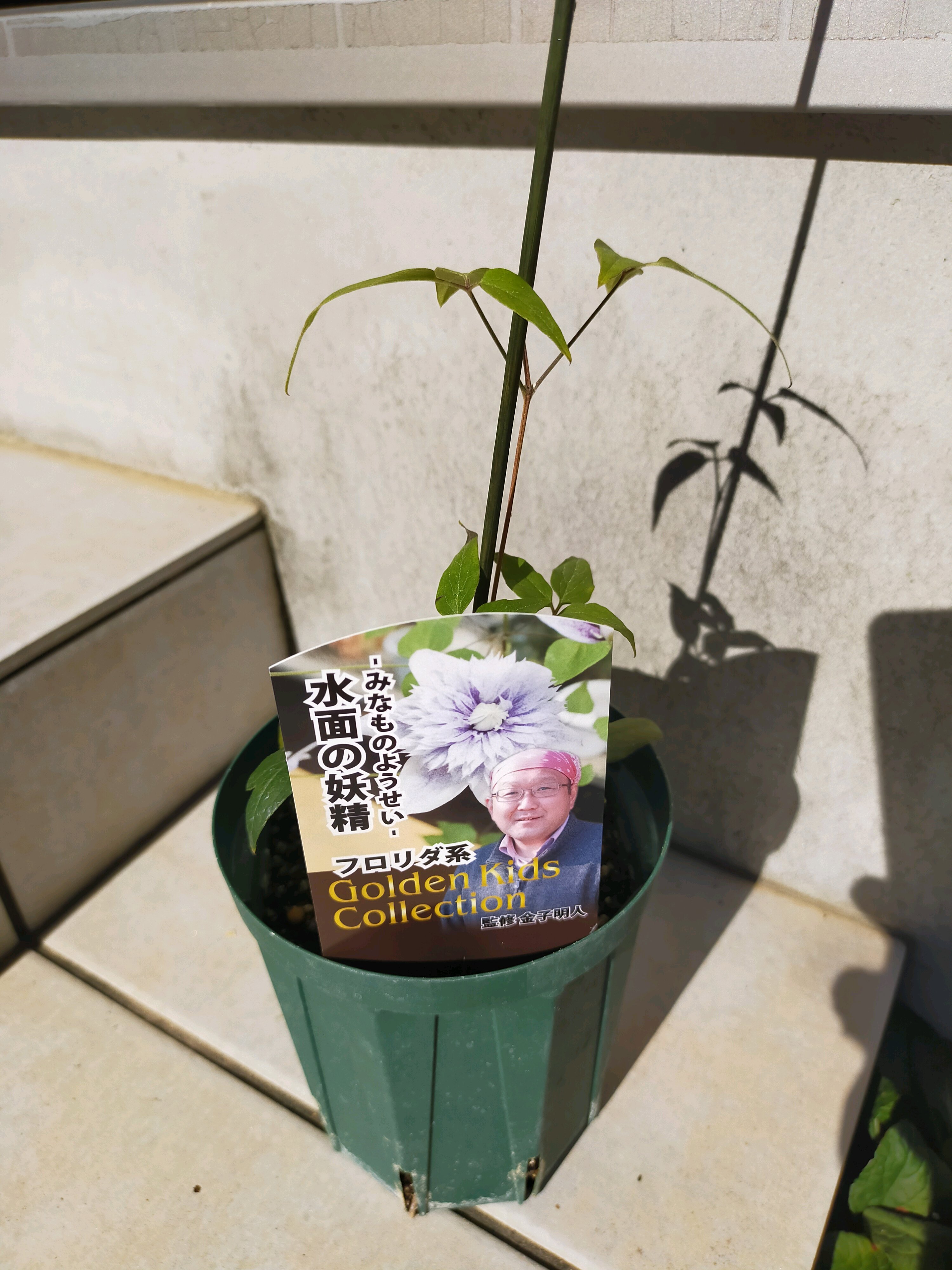 第5回ガーデニング愛の祭典✾花友フェスタ✾に行ってきました