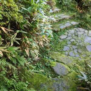 庭園,箱根,宮ノ下　富士屋ホテル,お出かけ先の画像