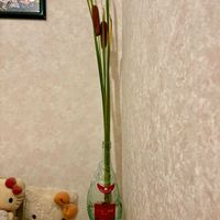 ガマノホ,散歩,花瓶,散歩中,通りがかりの画像