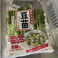 豆苗,豆苗リサイクル,豆苗の植え付け,豆苗の植え付けの画像