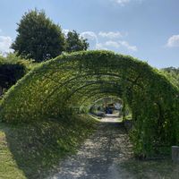 ゴーヤ,ヒョウタン,青い空,おでかけ先,雲仲間の画像