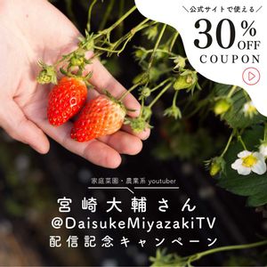 イチゴ,植物のある暮らし,肥料,プランター栽培,自然のある暮らしの画像