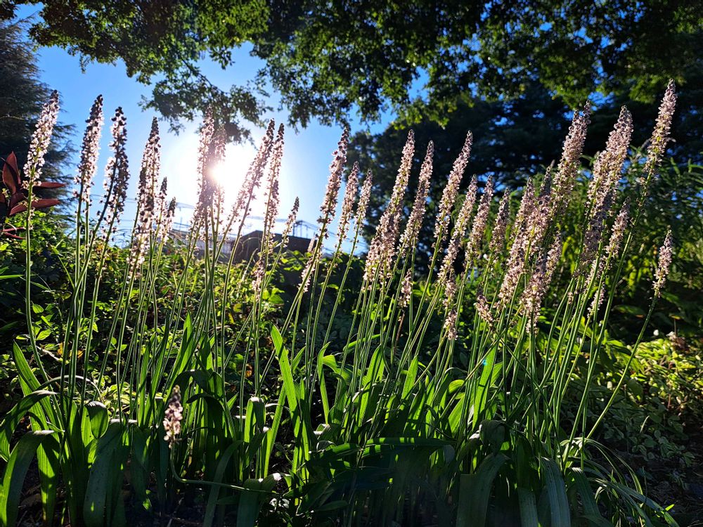 エリィさんの港の見える丘公園への投稿