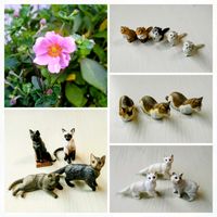 秋明菊,チョコエッグ,ニャンニャン祭り,新雪チョコエッグコレクションの画像